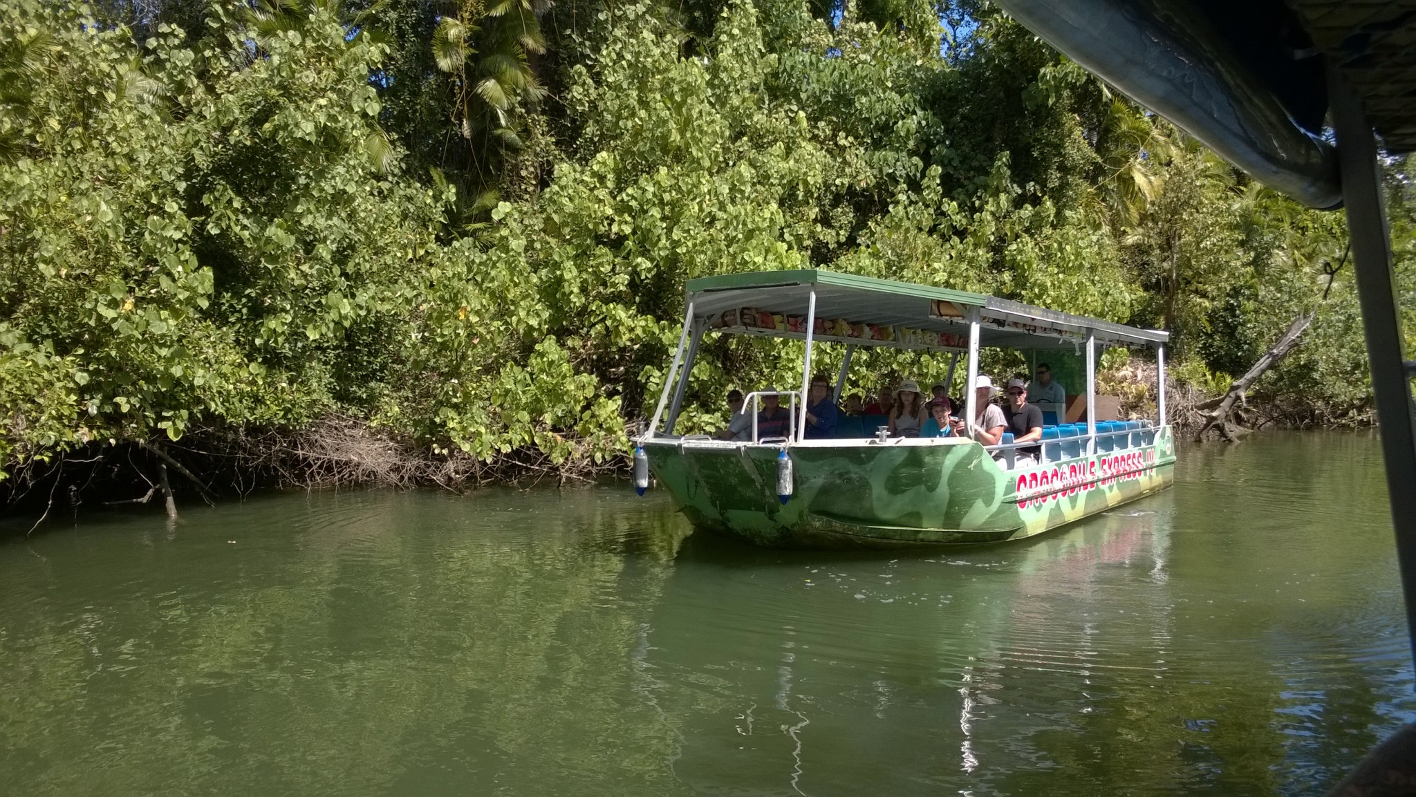 daintree river croc cruise